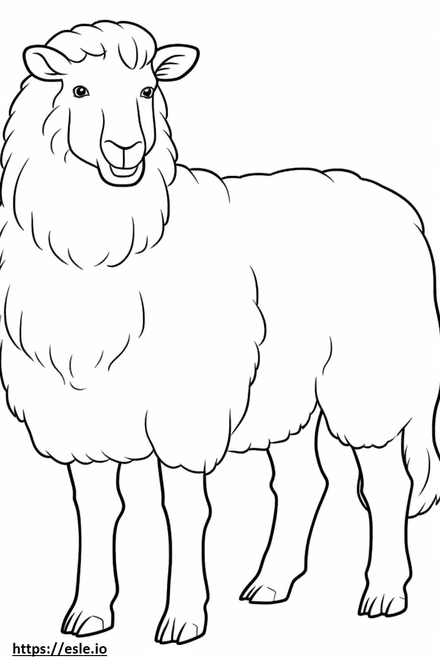Angora Goat koko vartalo värityskuva