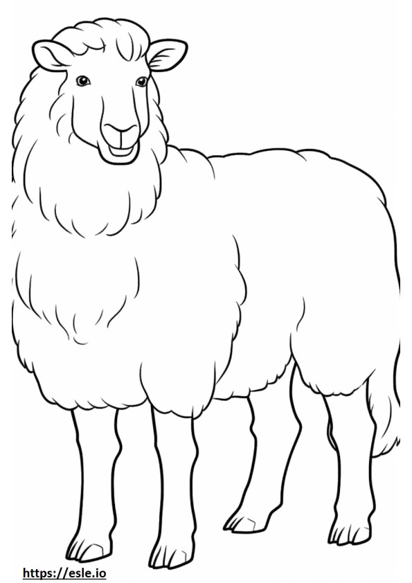 Angora Goat full body coloring page