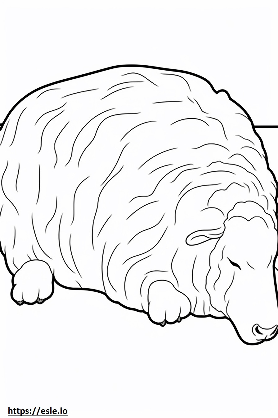 眠るアンゴラヤギ ぬりえ - 塗り絵