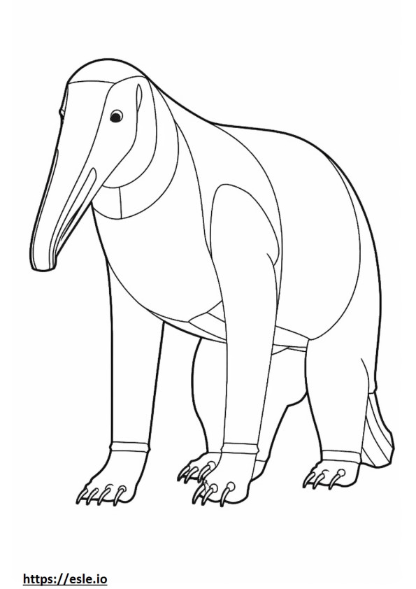 Anteater full body coloring page