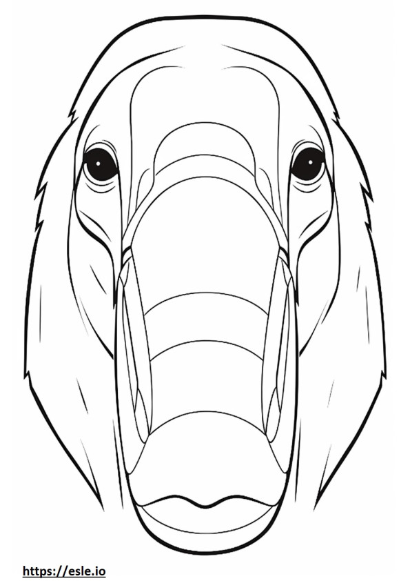 Anteater face coloring page