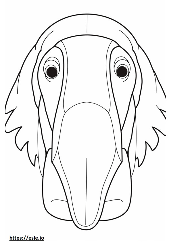 Anteater face coloring page