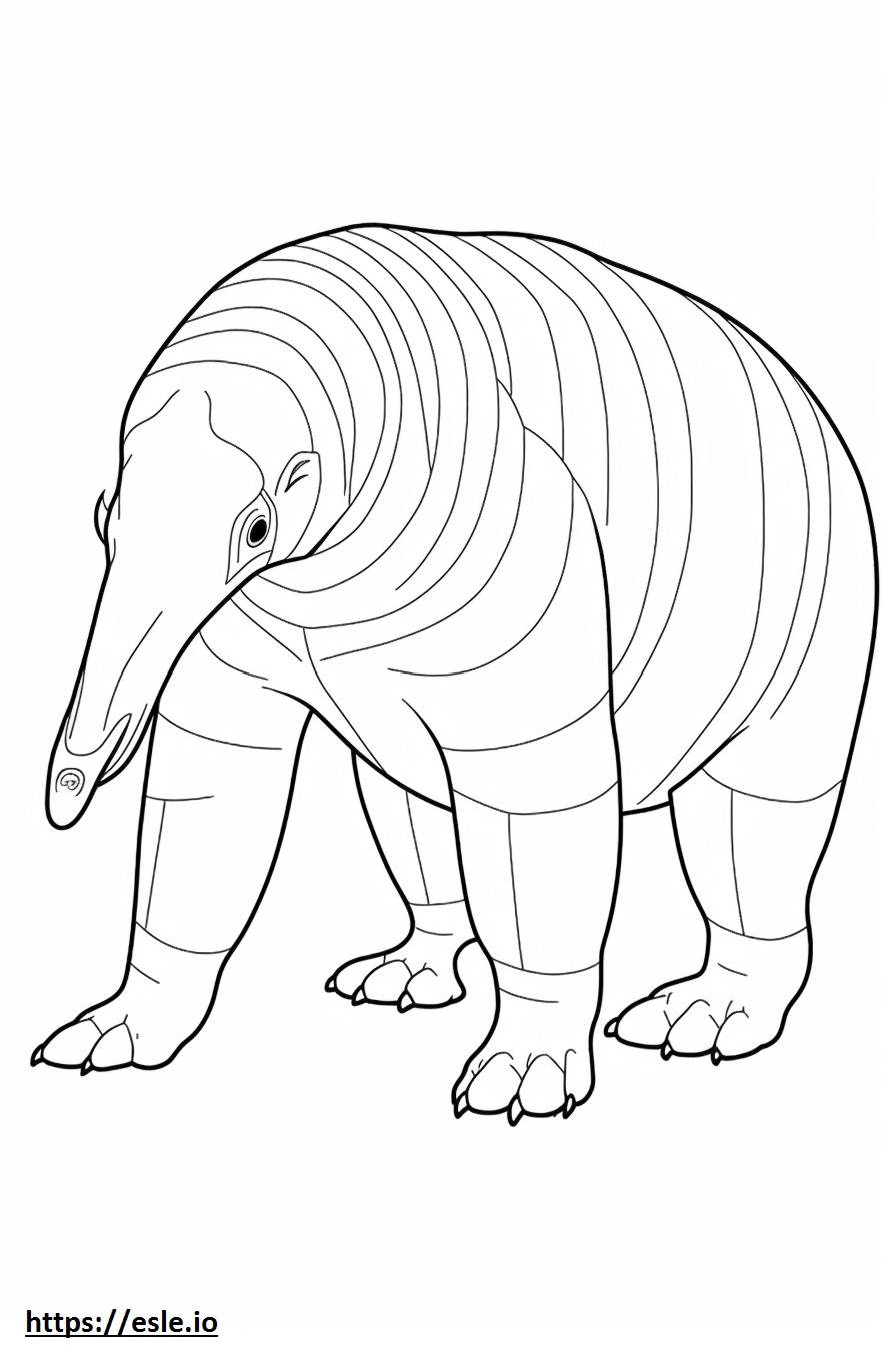 Anteater full body coloring page