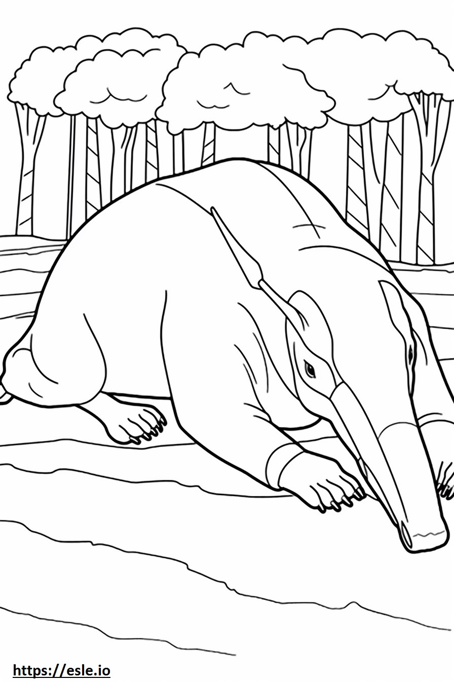 oso hormiguero durmiendo para colorear e imprimir