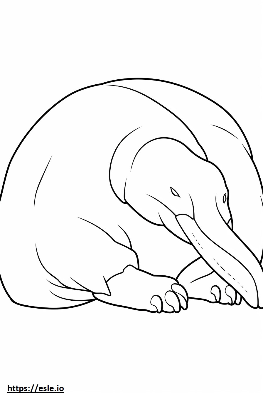 Anteater Sleeping coloring page