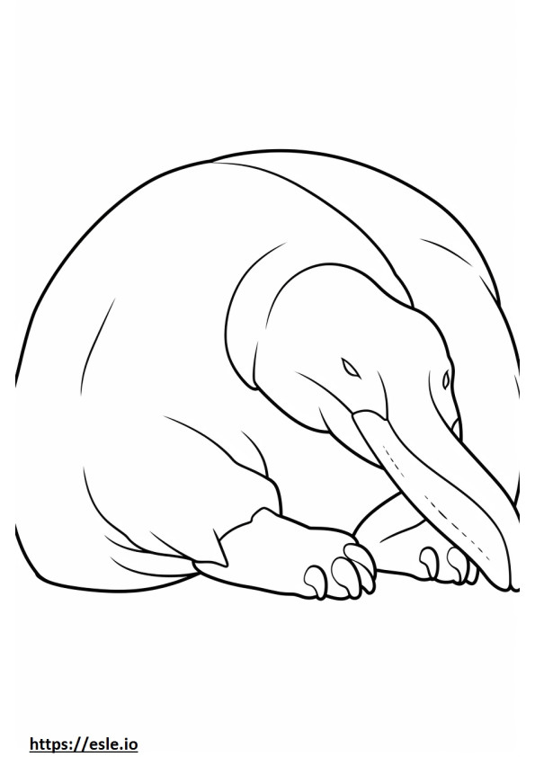 oso hormiguero durmiendo para colorear e imprimir