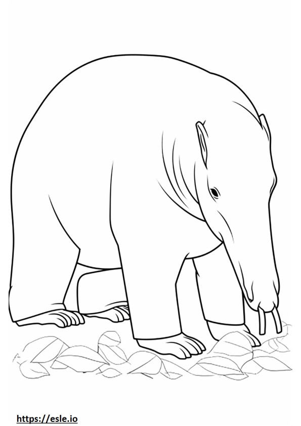 oso hormiguero jugando para colorear e imprimir