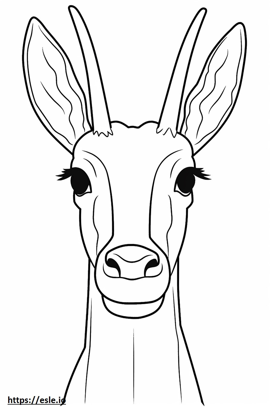 Fronte dell'antilope da colorare