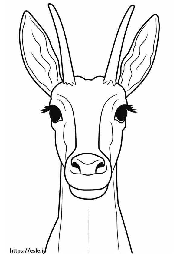 Antilop arc szinező