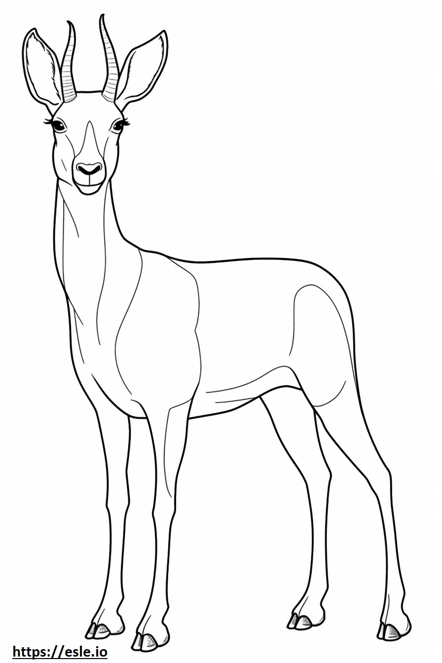 Antilope corpo intero da colorare