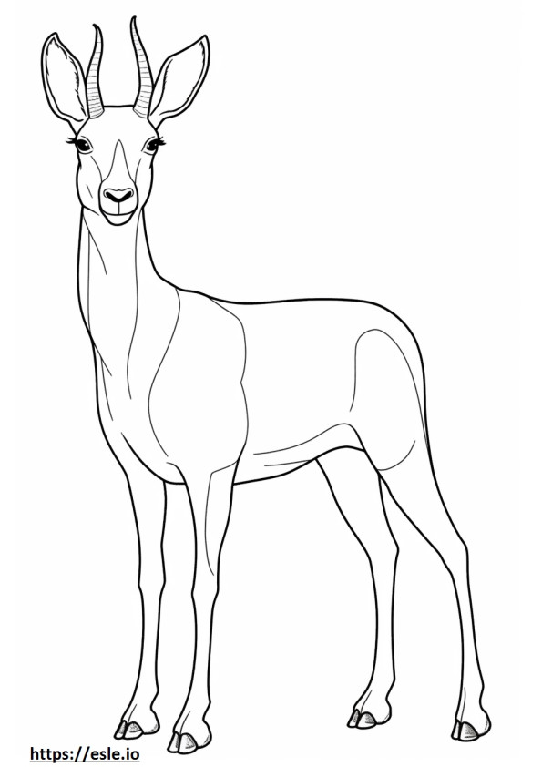 Antilope volledig lichaam kleurplaat