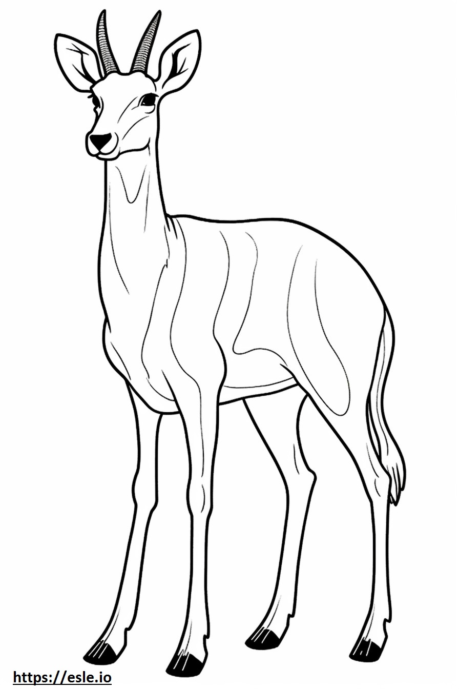 Antilope corpo intero da colorare