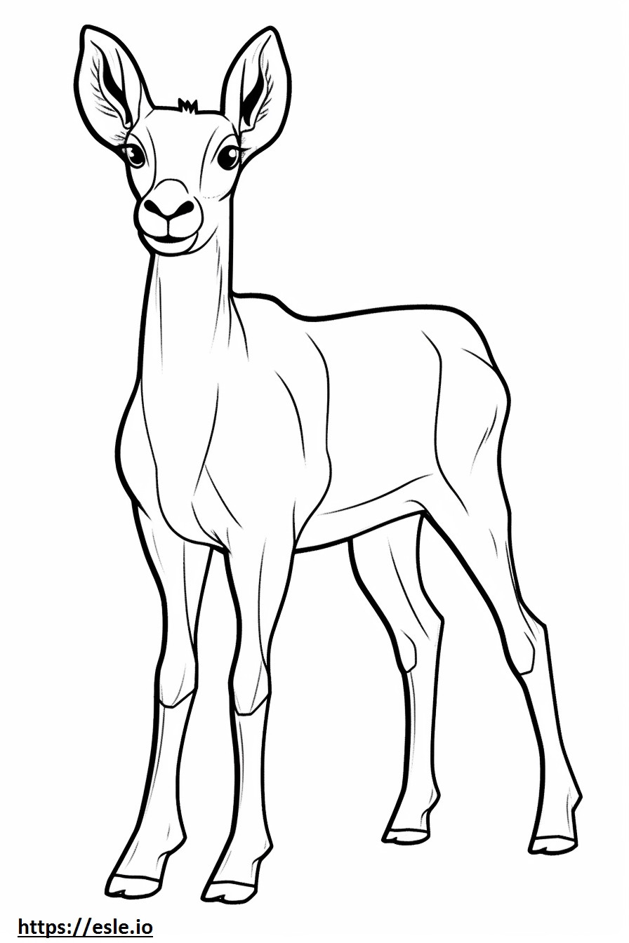 Antelope baby coloring page