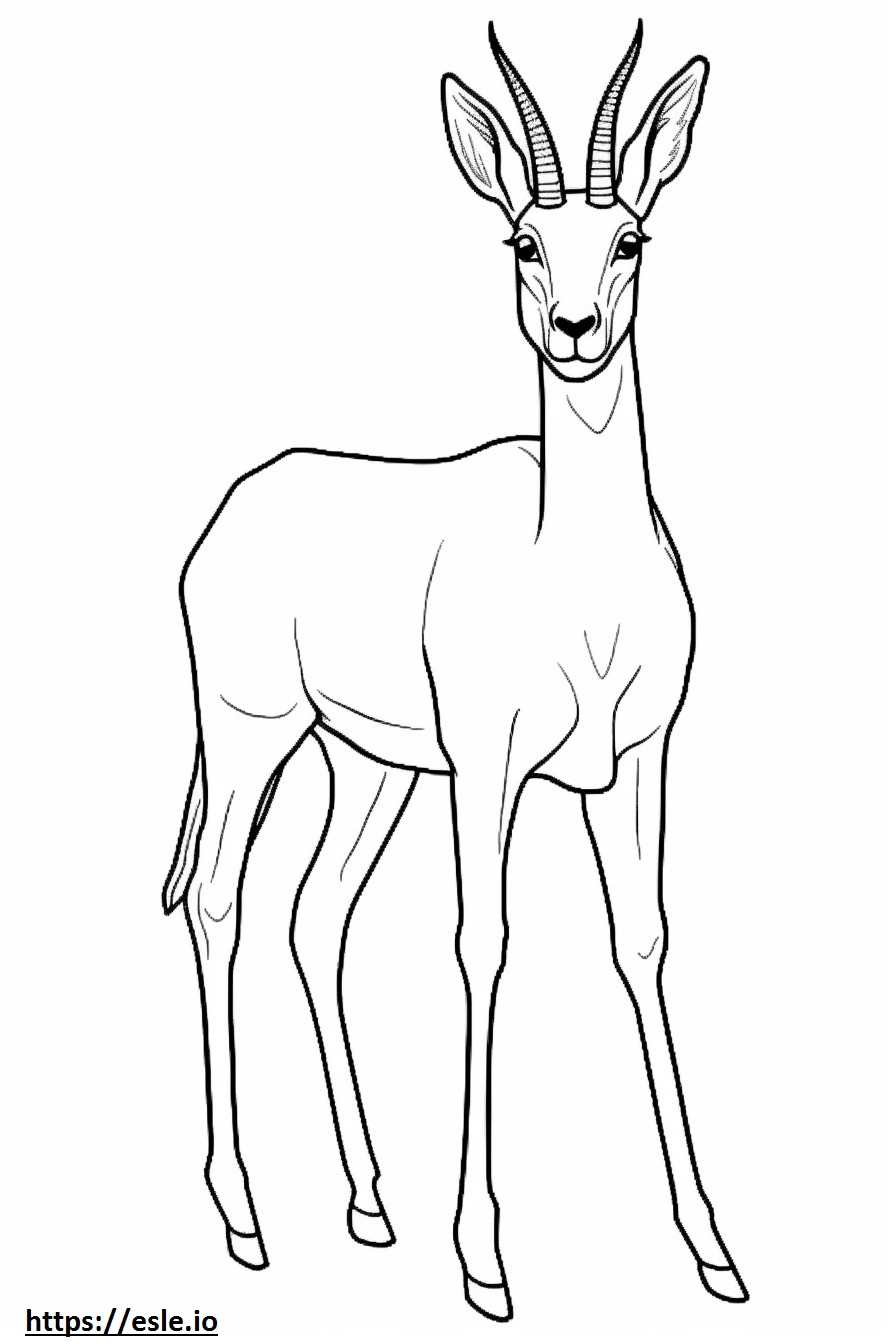 Antelope full body coloring page