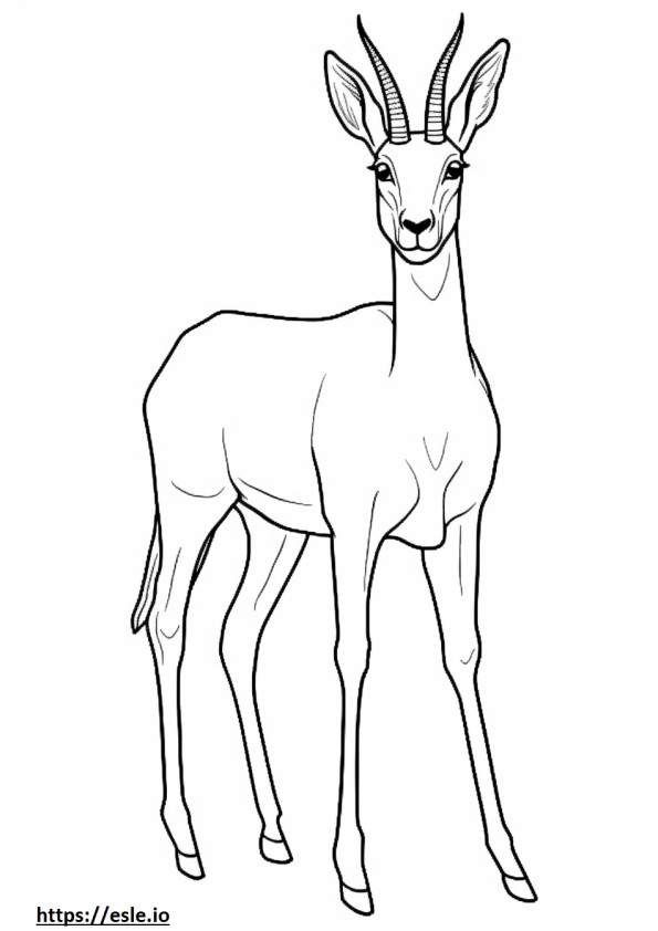 Antilope volledig lichaam kleurplaat