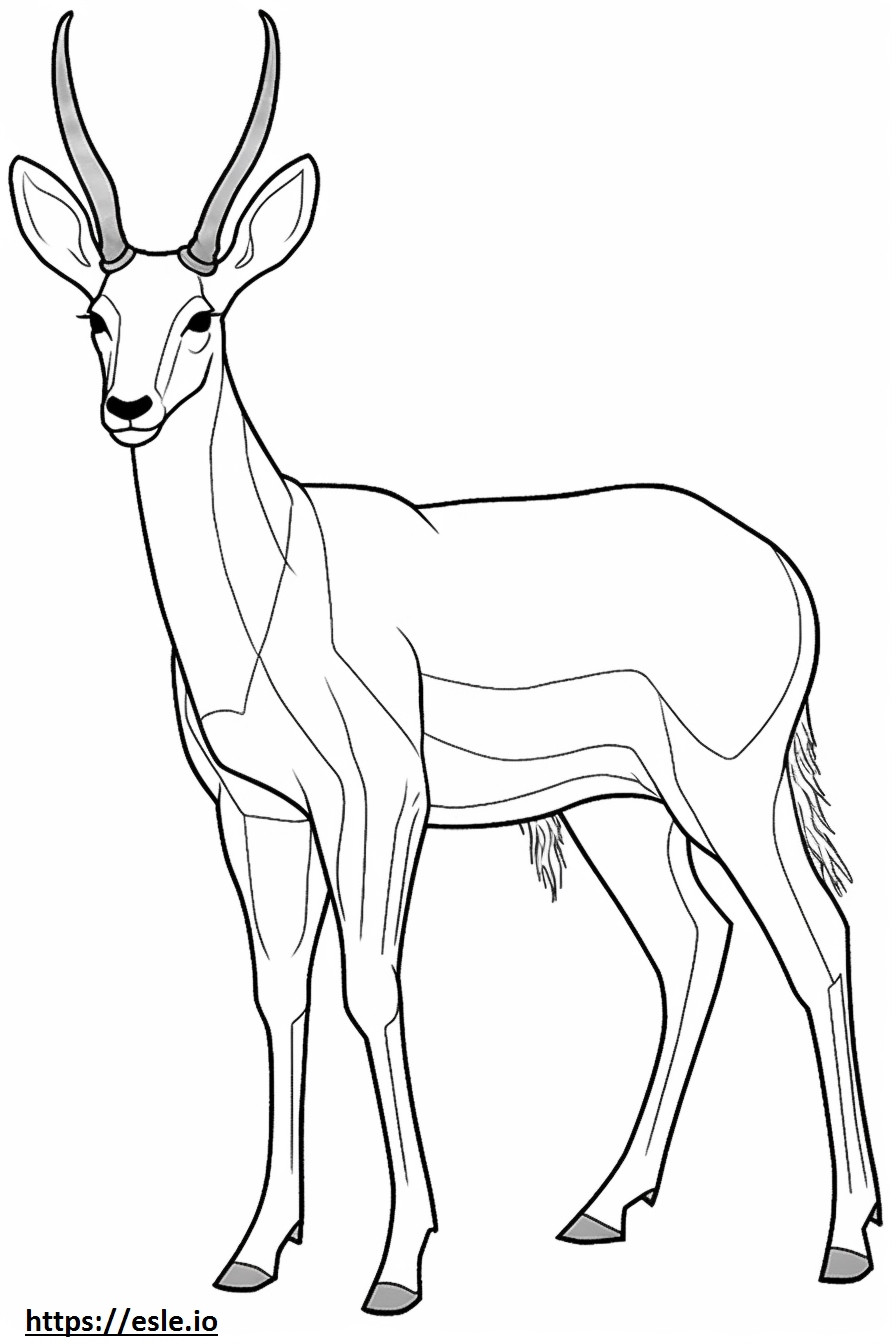 Coloriage Antilope corps entier à imprimer