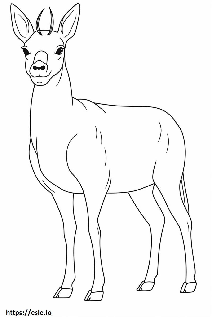 Antelope cartoon coloring page