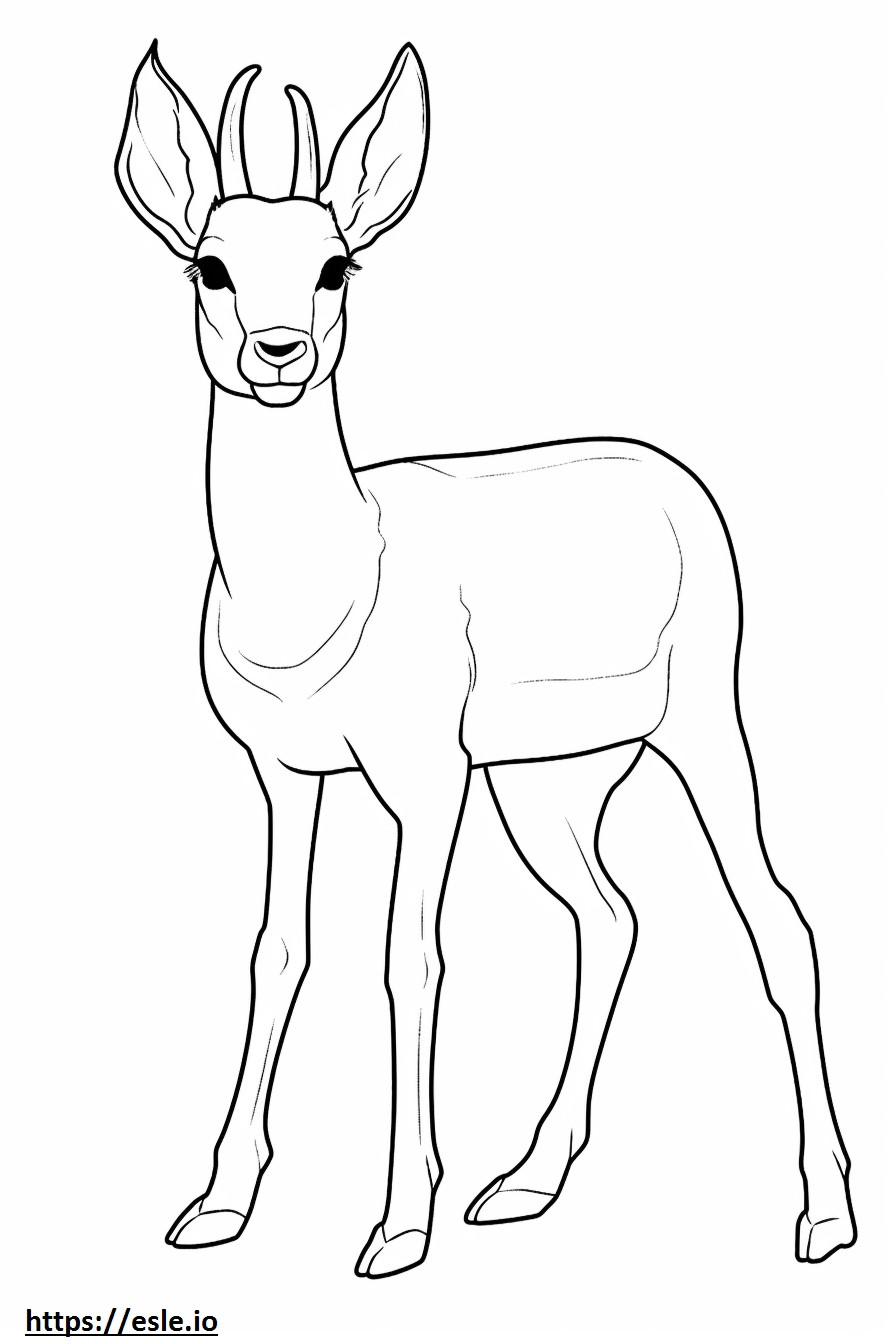 Antilope drăguță de colorat
