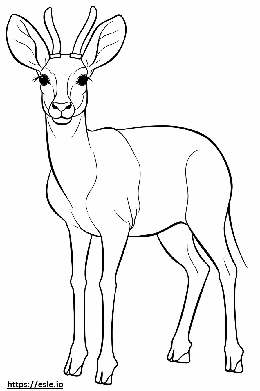 Coloriage Antilope mignonne à imprimer