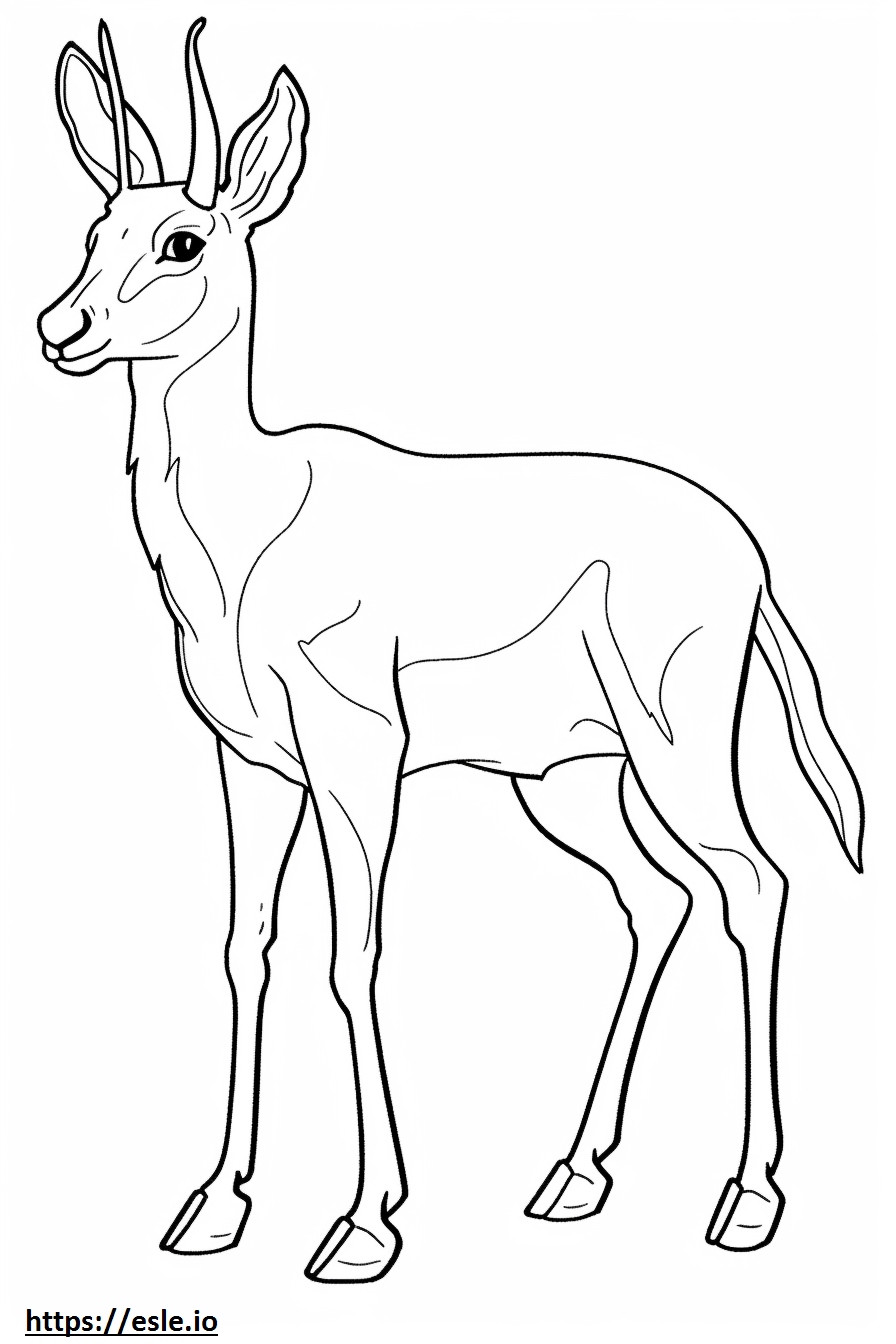 Antilope Playing de colorat