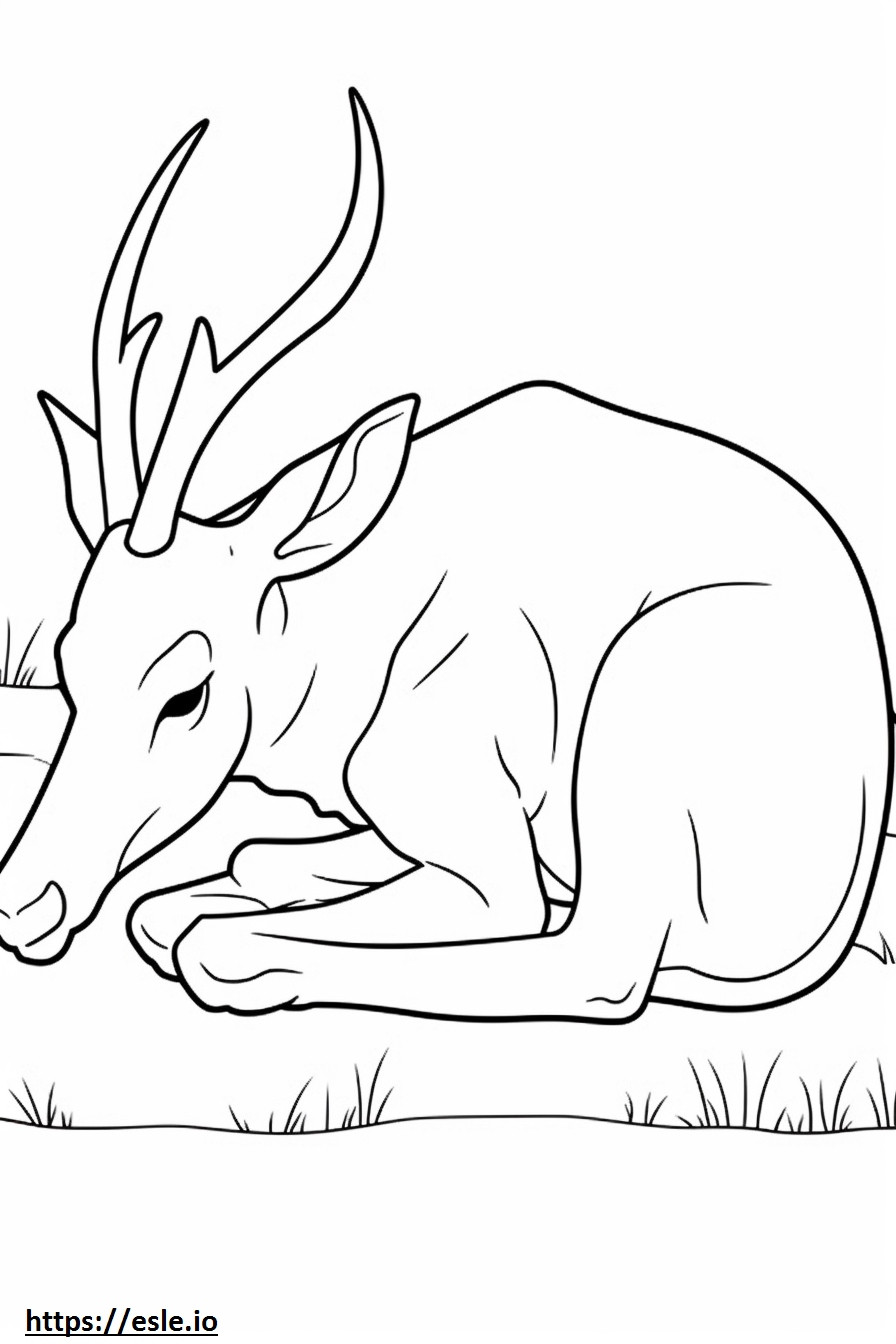 Antilope slaapt kleurplaat kleurplaat