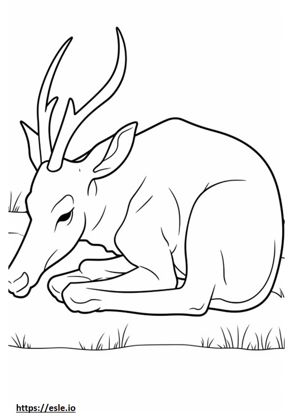 Schlafende Antilope ausmalbild