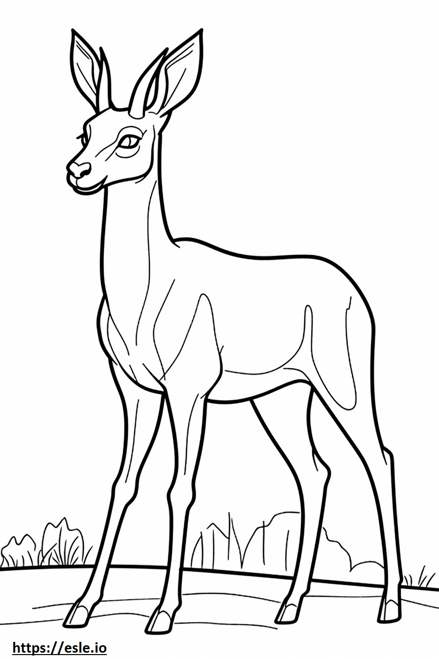 Antilope che gioca da colorare