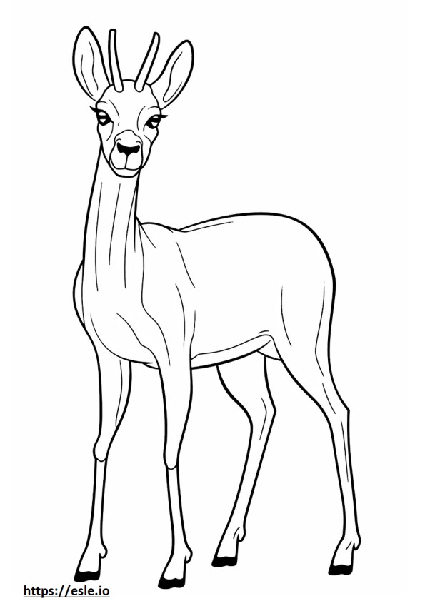 Antelope Playing coloring page