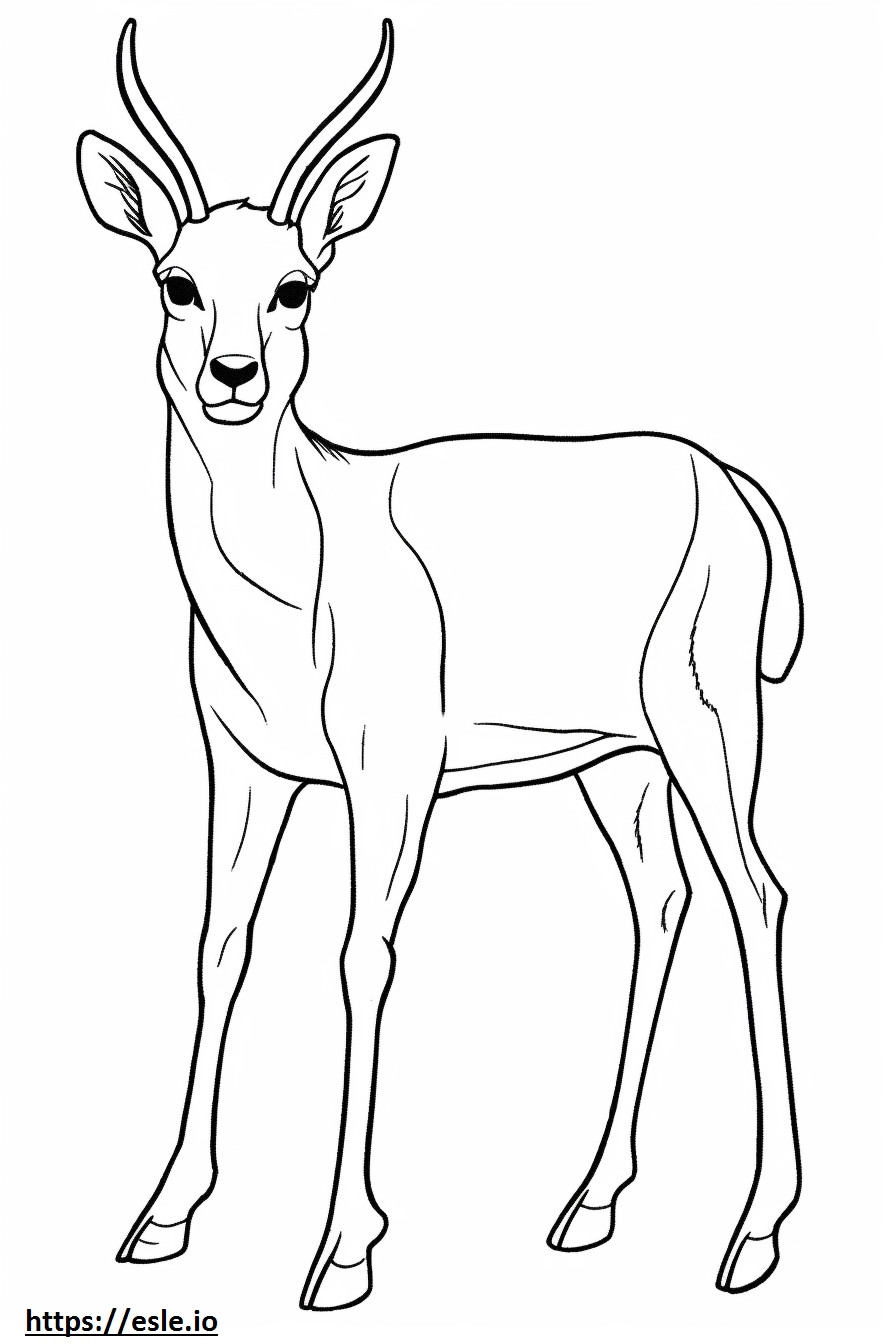 Antilope amichevole da colorare