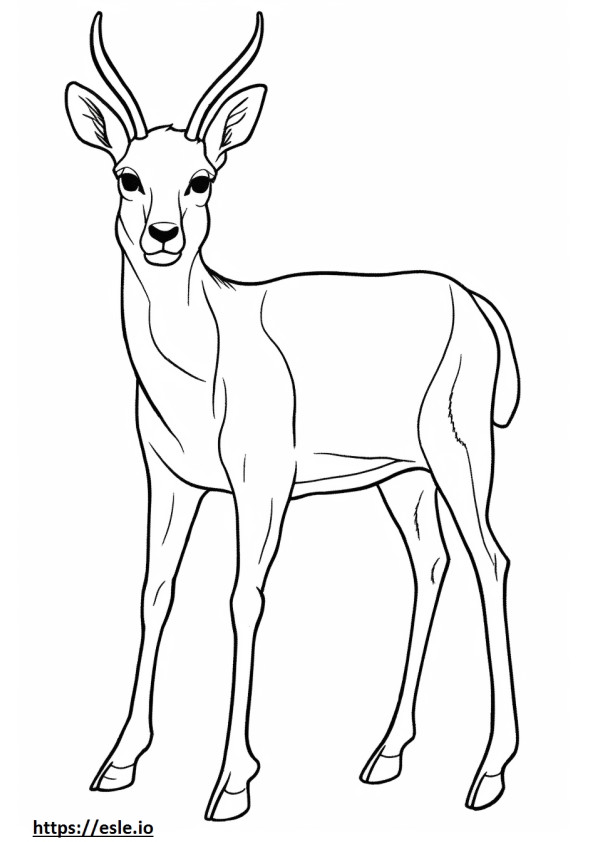 Antilope amichevole da colorare
