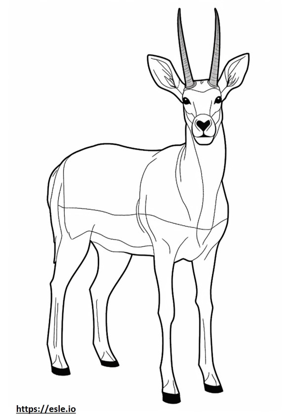 Antilope Friendly de colorat