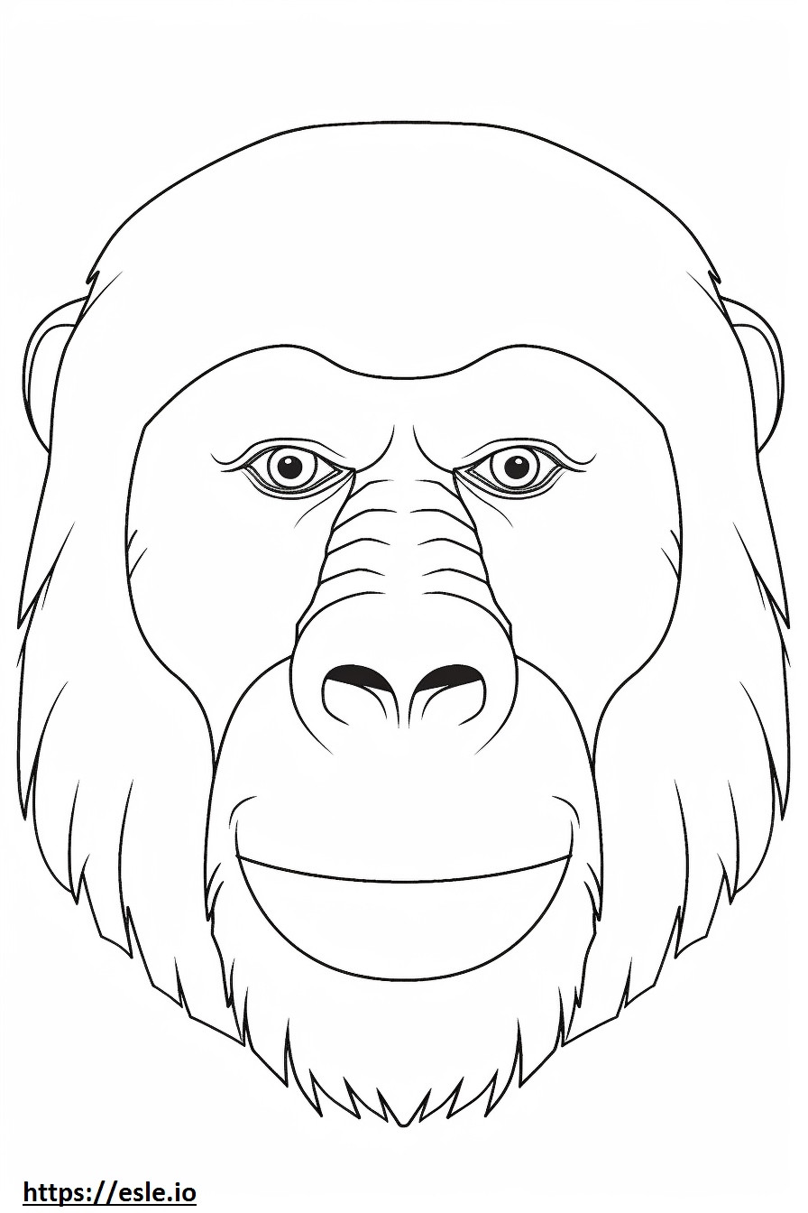 Apinan kasvot värityskuva