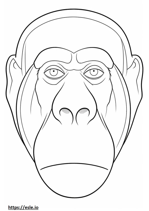 Apinan kasvot värityskuva