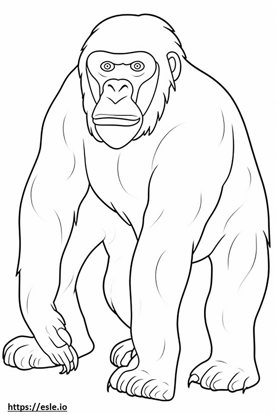 Macaco de corpo inteiro para colorir