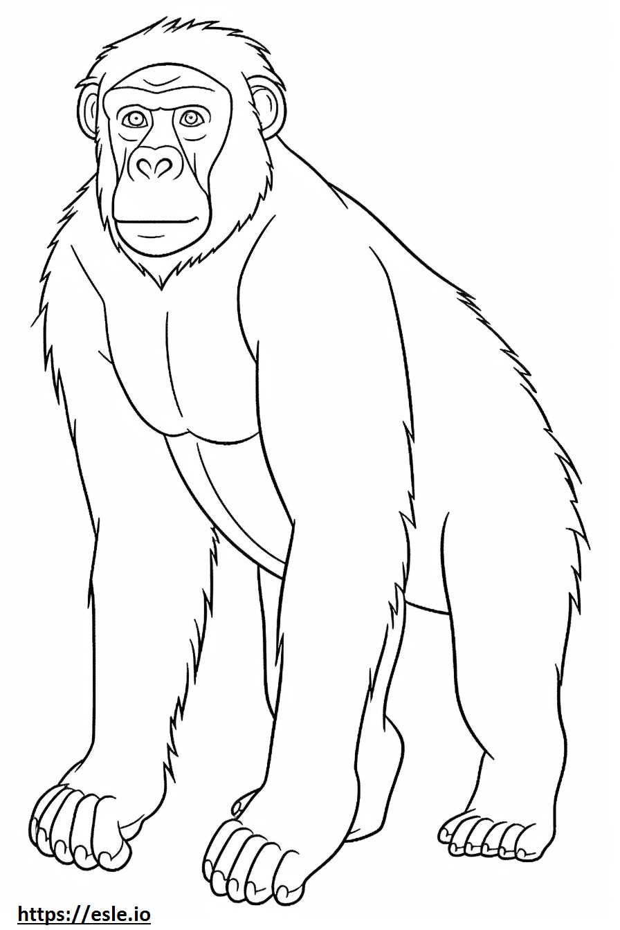 Desen animat cu maimuță de colorat