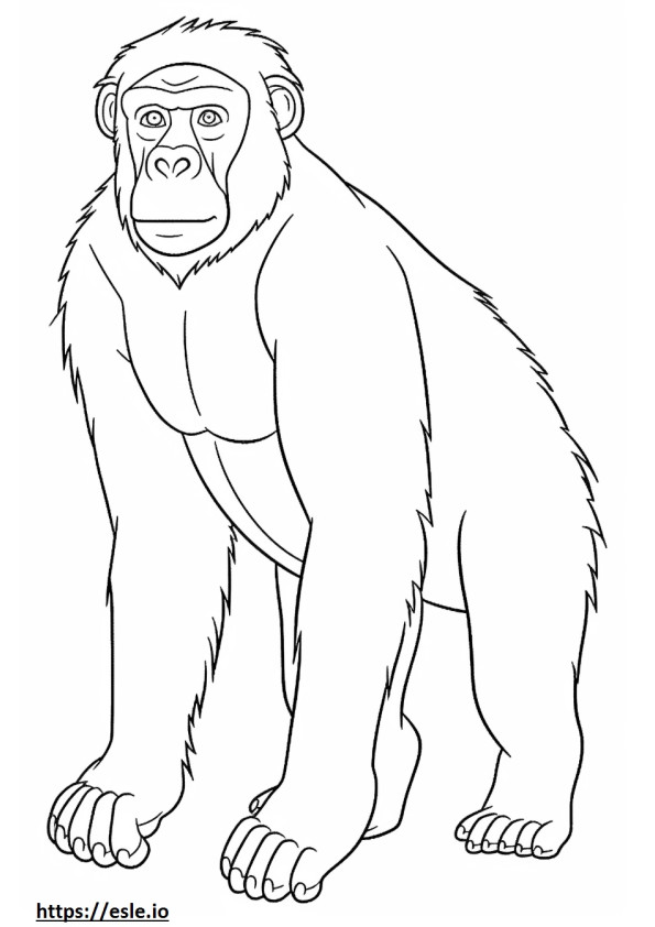Apina sarjakuva värityskuva