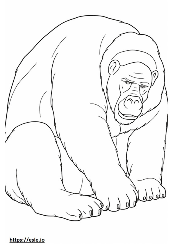 Ape Sleeping coloring page