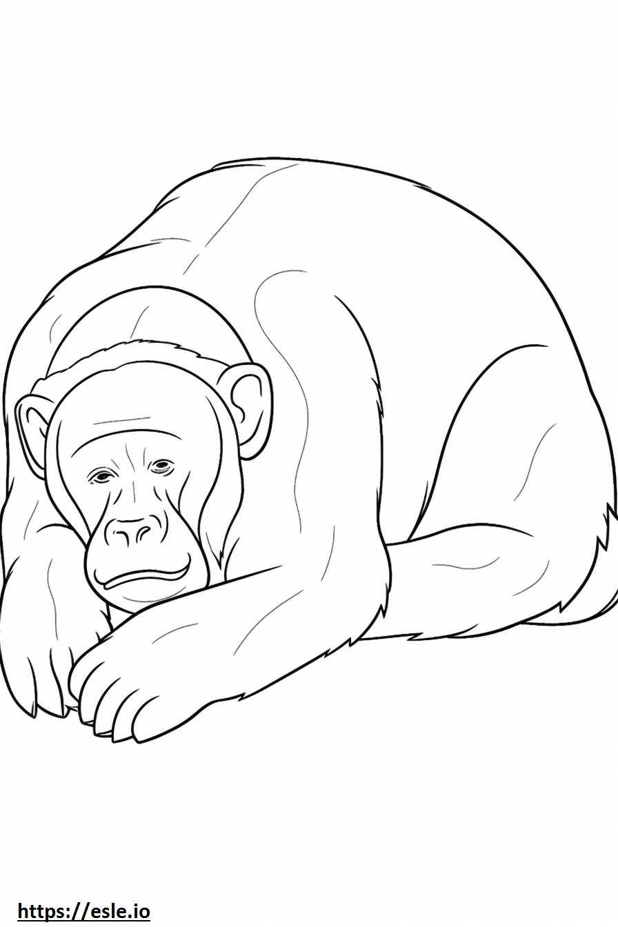 Apina nukkuu värityskuva