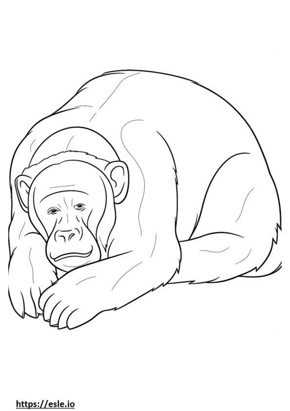Małpa śpi kolorowanka
