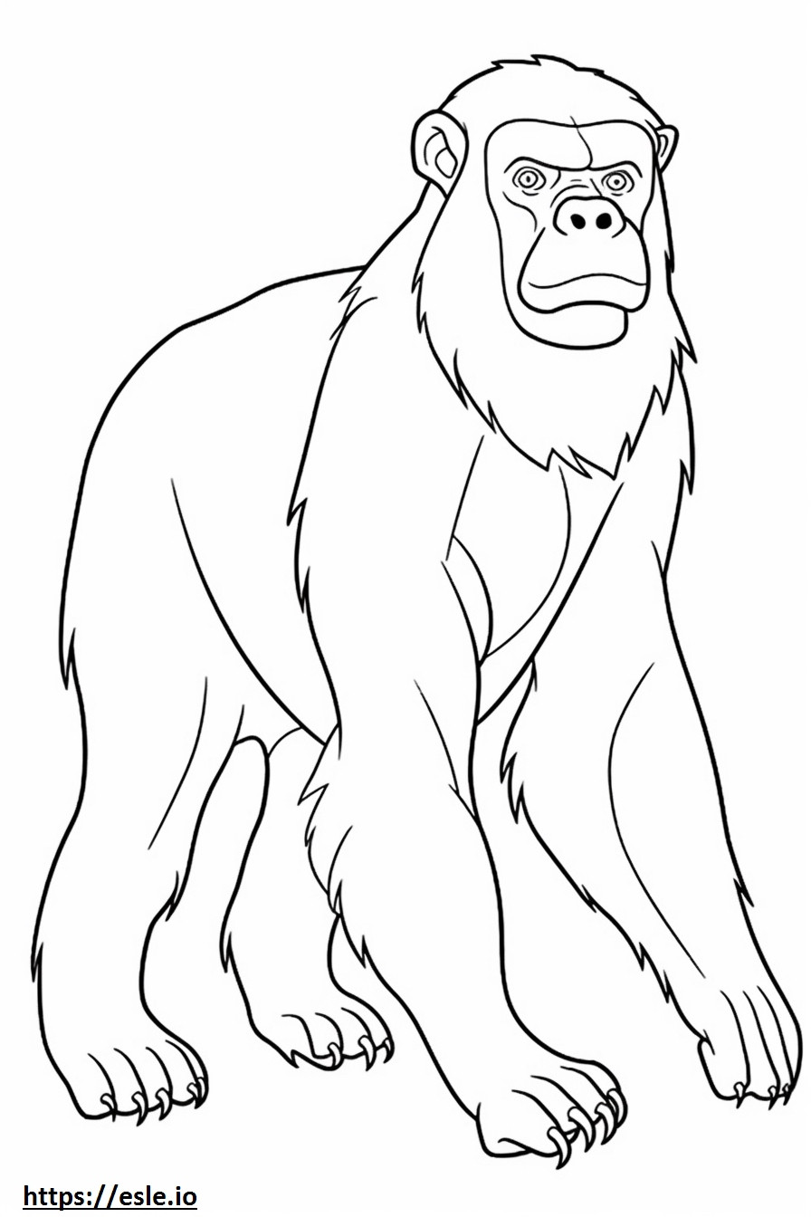 Macaco Jogando para colorir