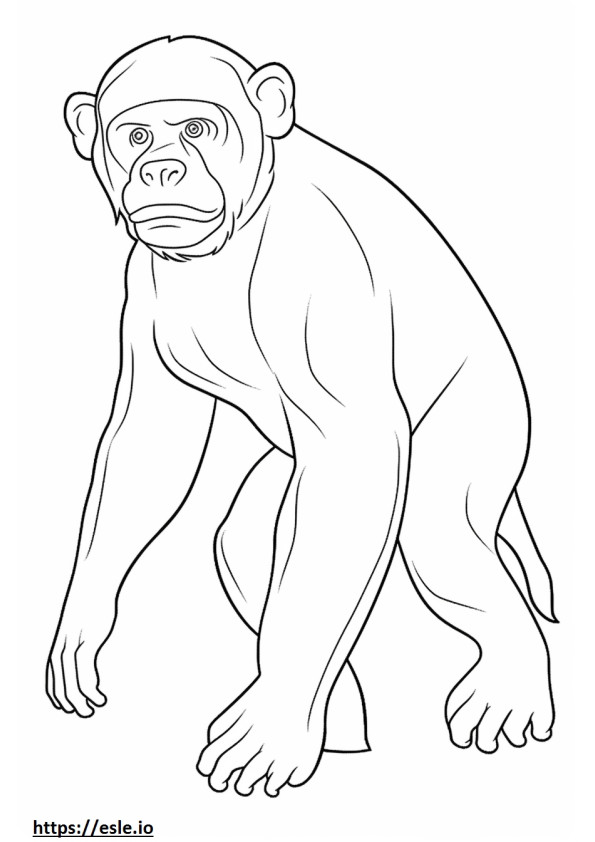Ape Playing coloring page