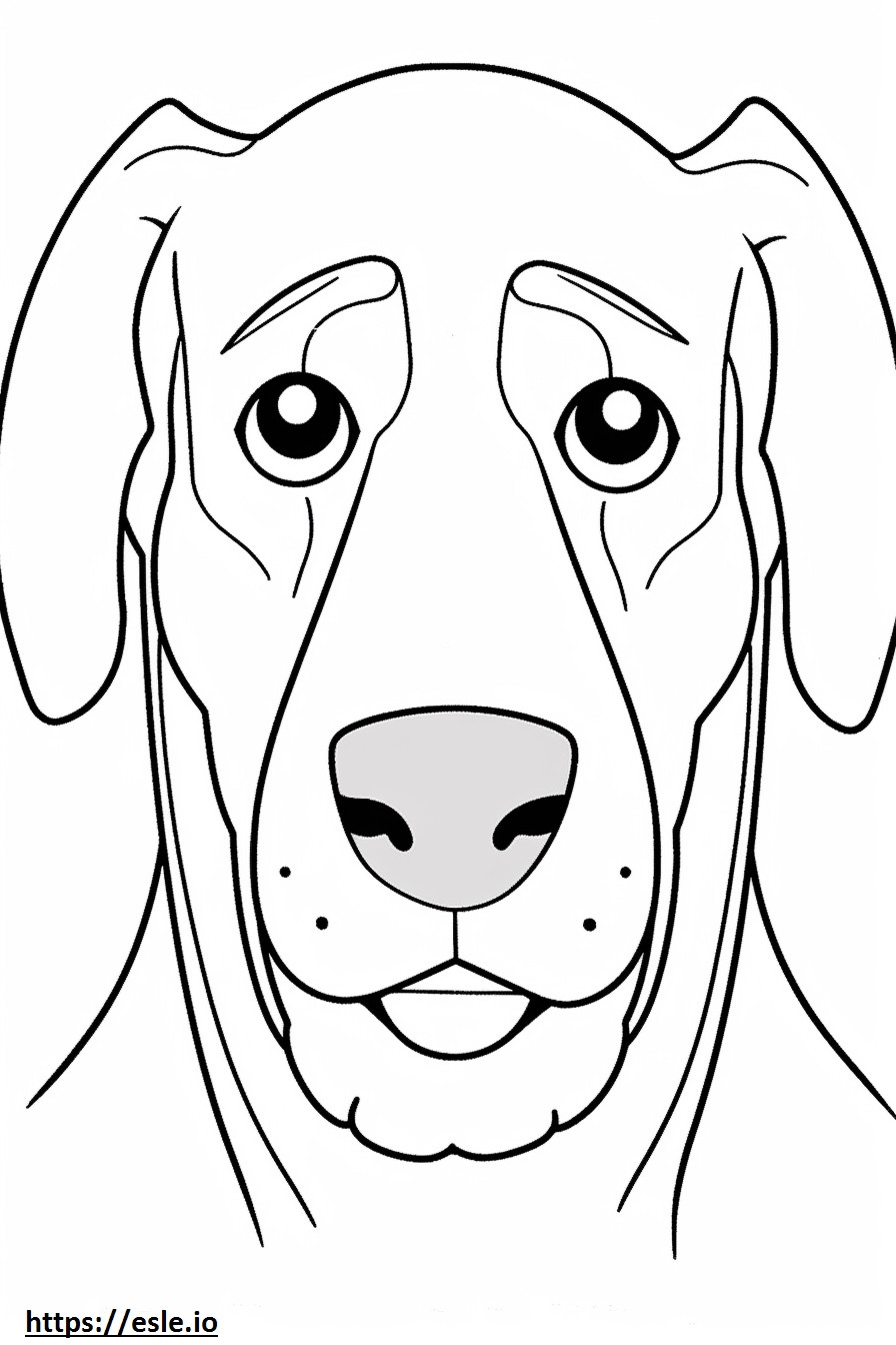 Cara de perro Appenzeller para colorear e imprimir