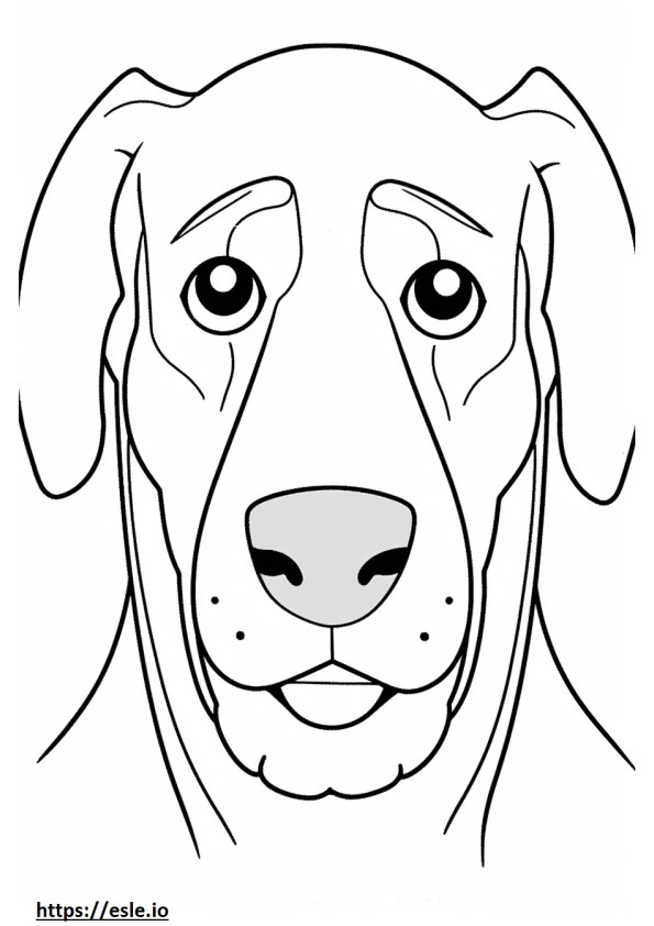 Appenzeller-koiran kasvot värityskuva