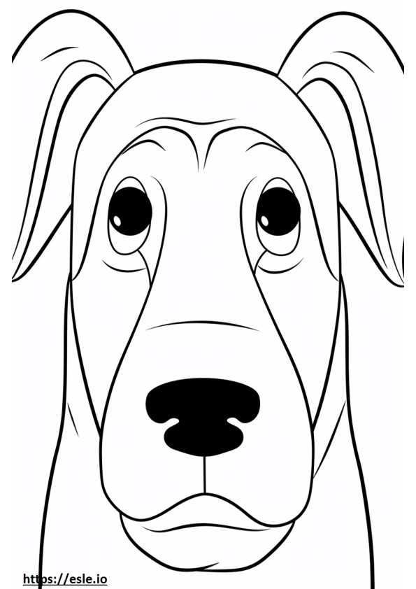 Appenzeller-koiran kasvot värityskuva
