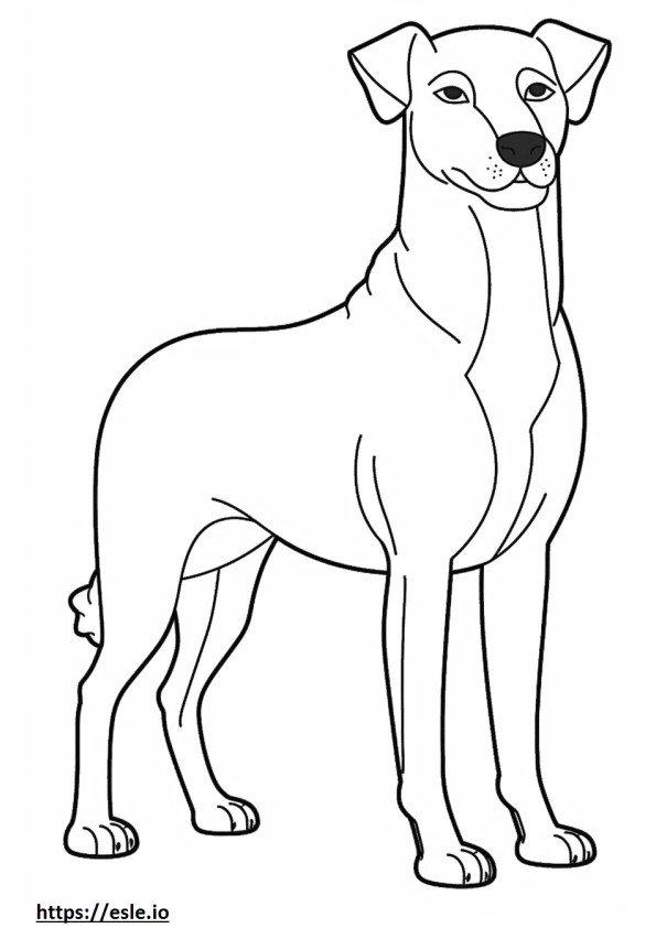 Appenzeller Dog full body coloring page