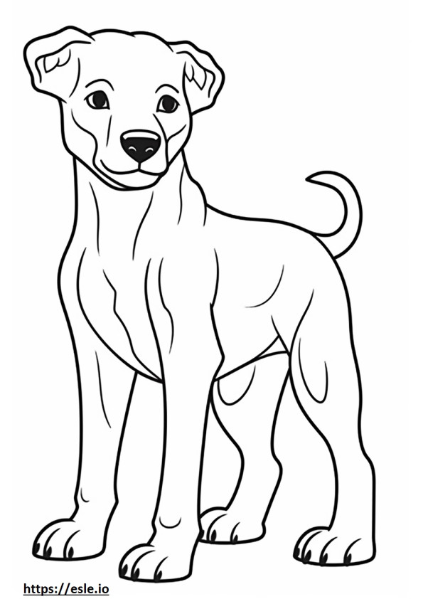 Appenzeller Hondenbaby kleurplaat