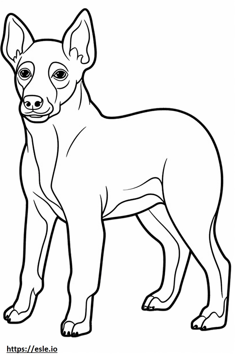 Appenzeller Hondenbaby kleurplaat kleurplaat