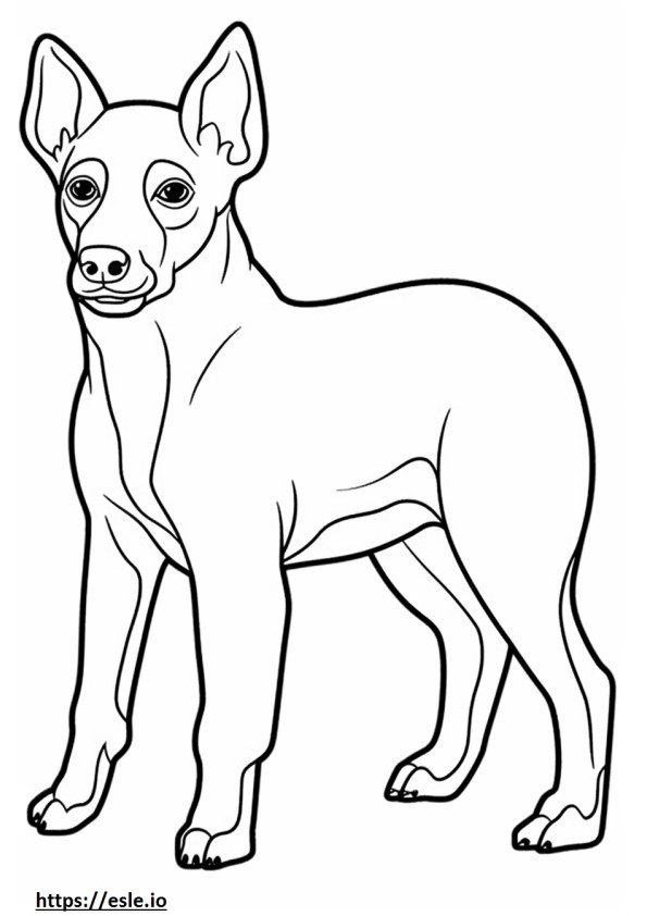 Appenzeller Dog baby coloring page