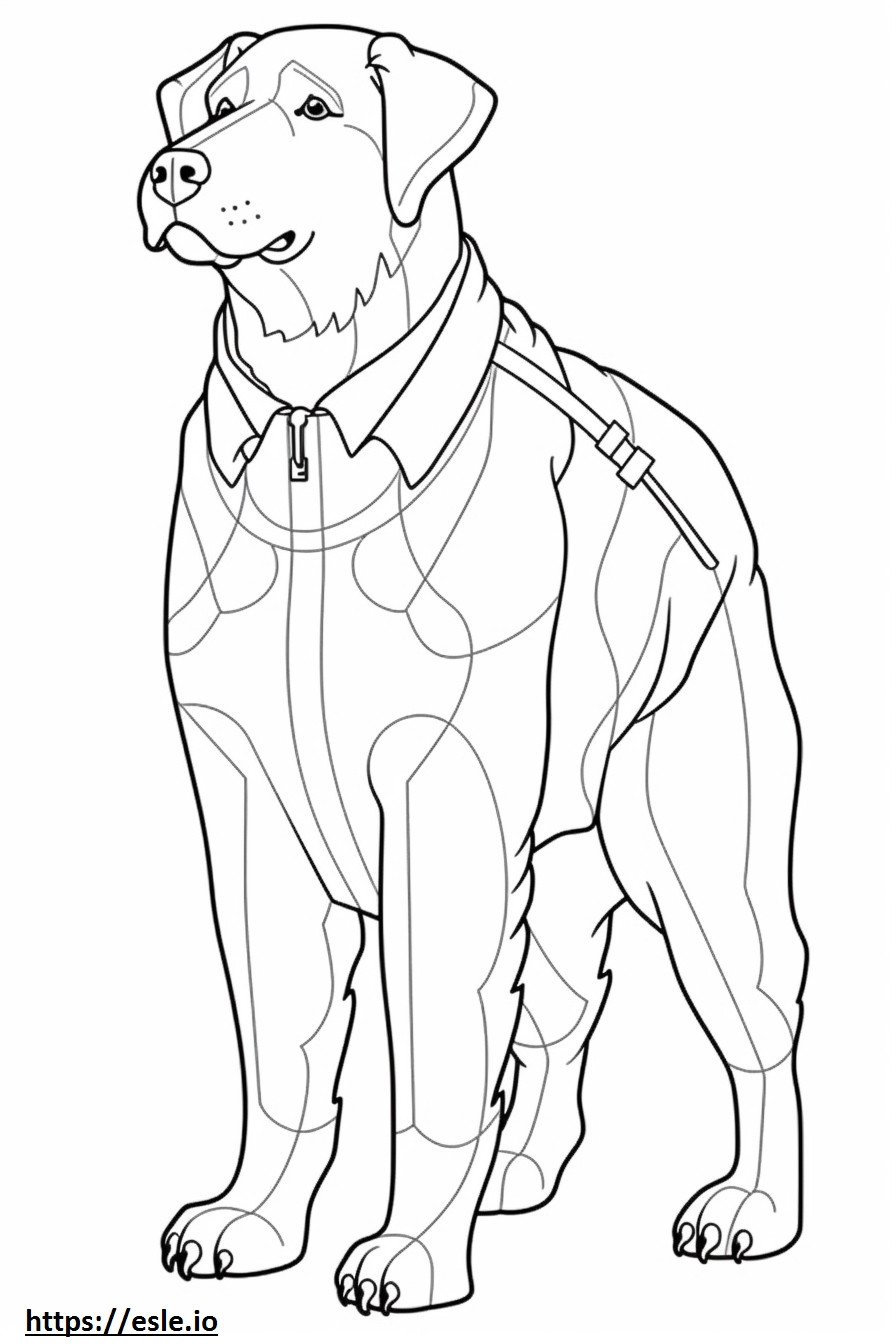 Appenzeller Dog full body coloring page