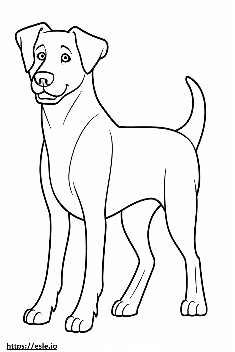 Appenzeller Dog sarjakuva värityskuva